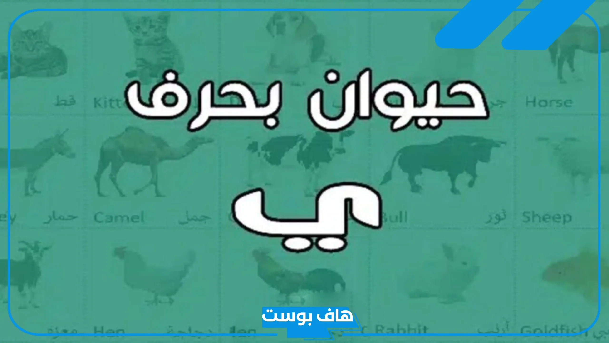 اسم حيوان بحرف ي الياء وأهم المعلومات عنه، حيوان بحرف ياء من 4 حروف