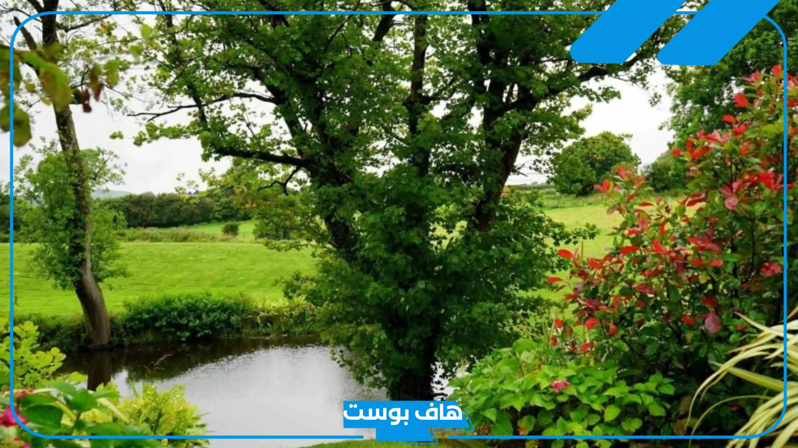 تفسير حلم مكان اخضر جميل في المنام لابن سيرين والنابلسي