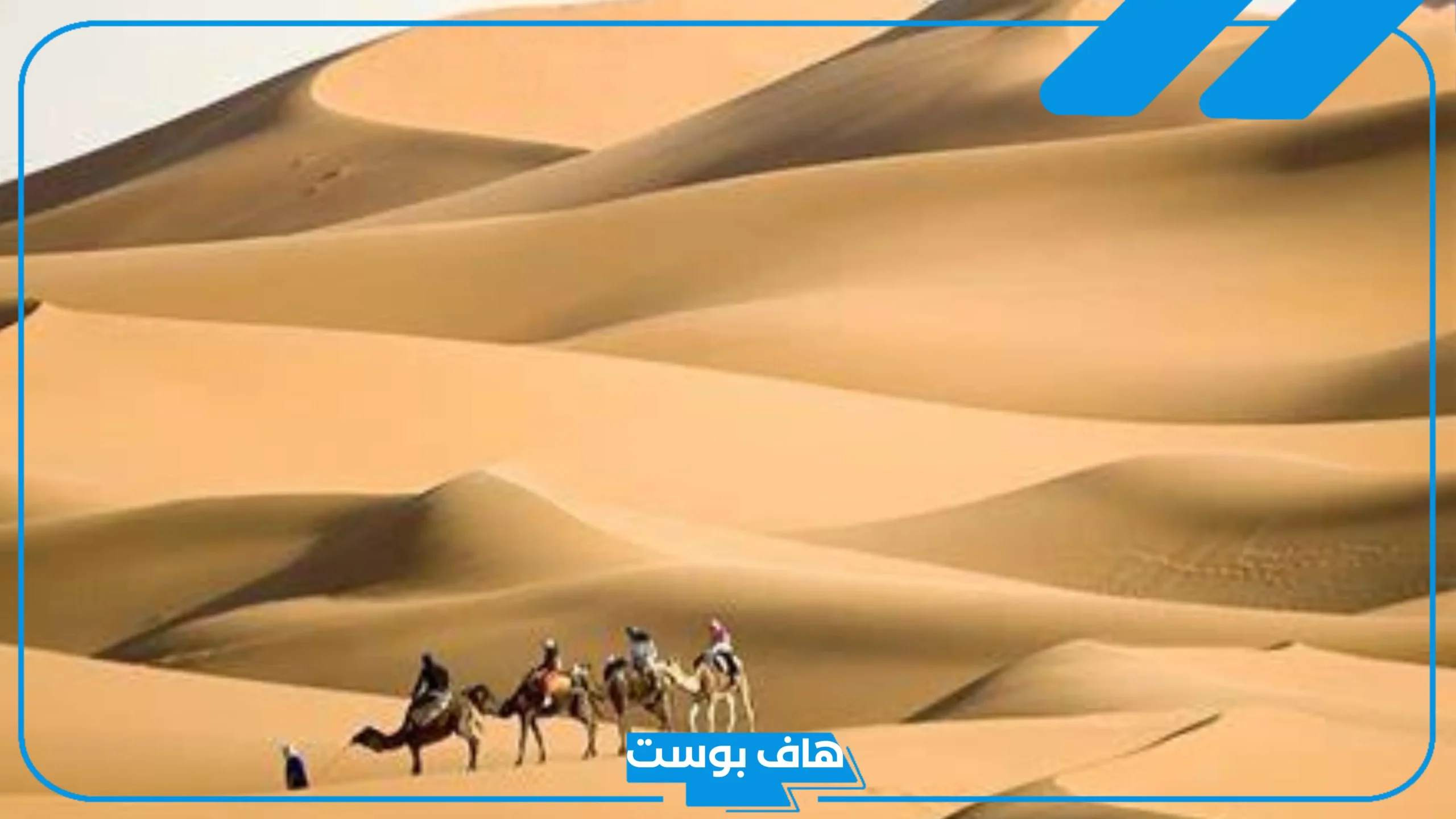 الاحمري وش يرجع أصله، شجرة قبيلة الأحمري