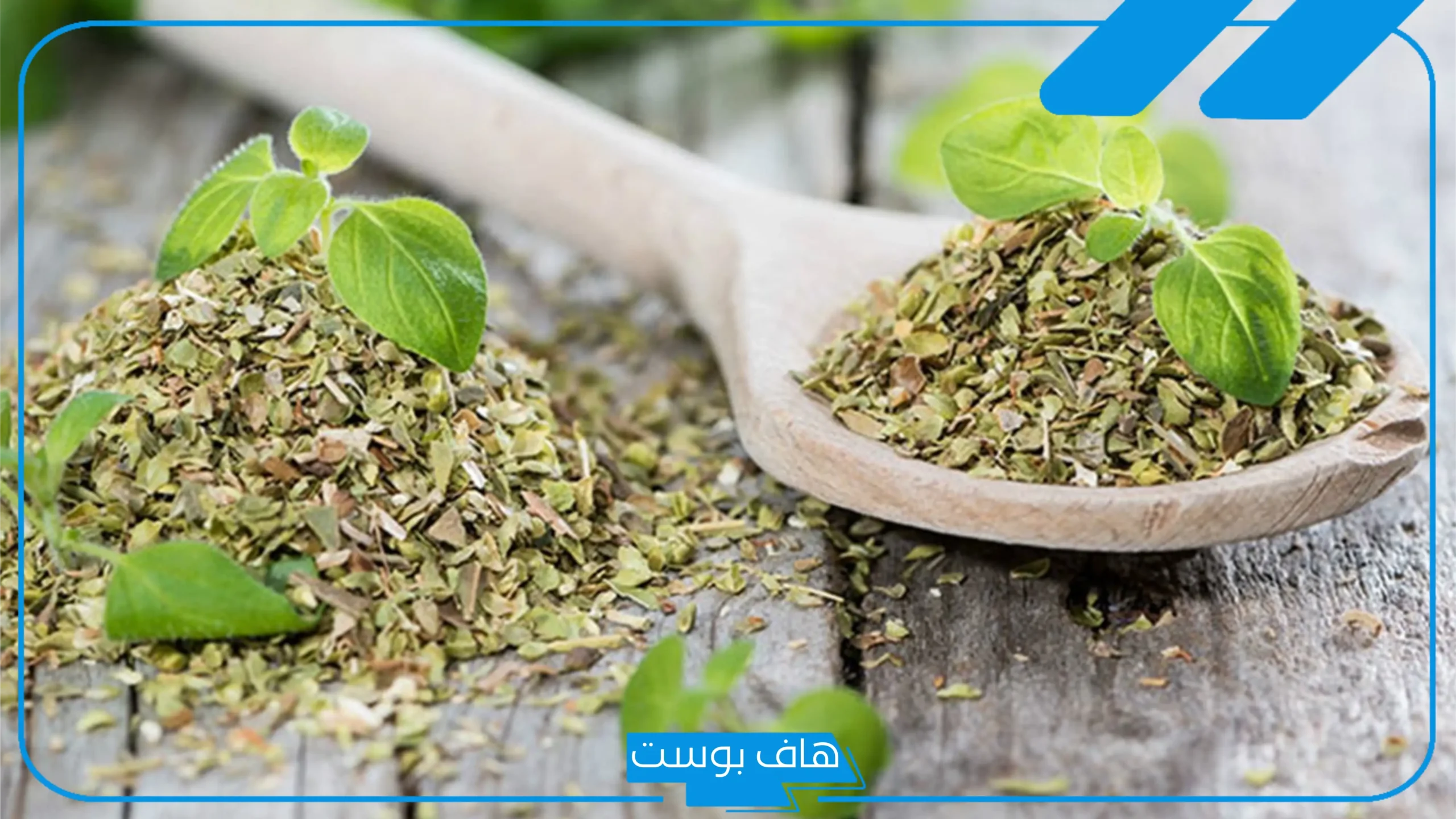 تجربتي مع البردقوش وتكيس المبايض كاملة، تحذيرات ونصائح عند استخدام البردقوش