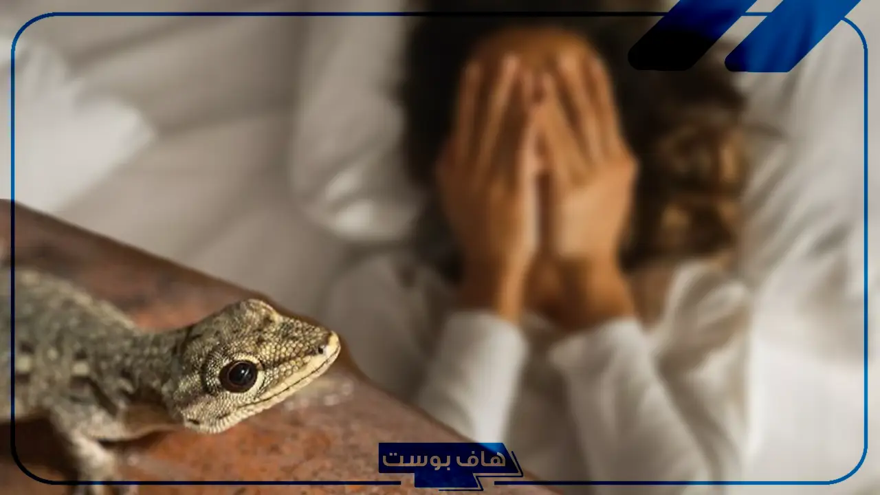 تفسير حلم الوزغ في المنام يمشي على جسمي لابن سيرين