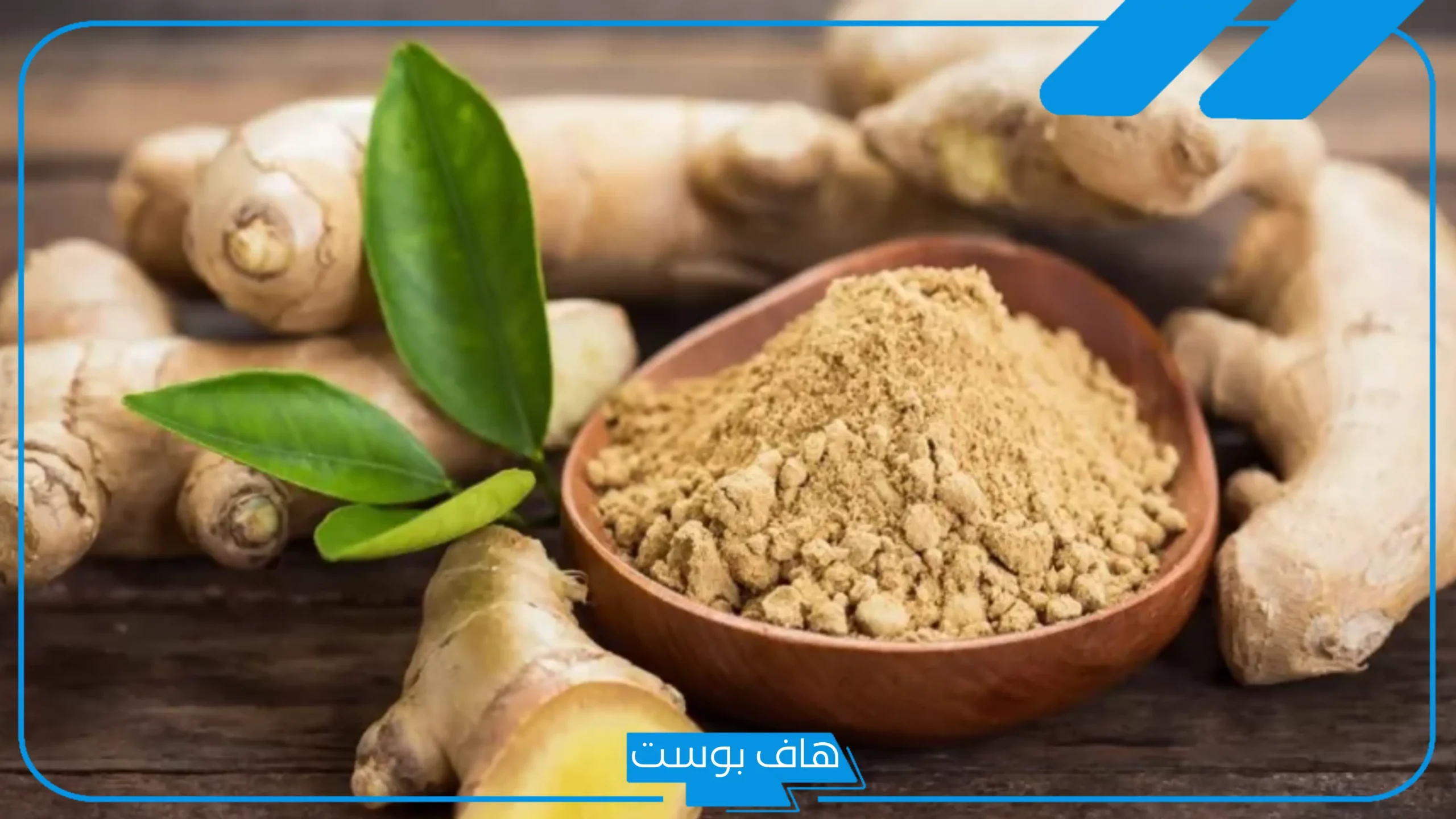 تجربتي مع الزنجبيل للحمل، مين جربت الزنجبيل للحمل؟