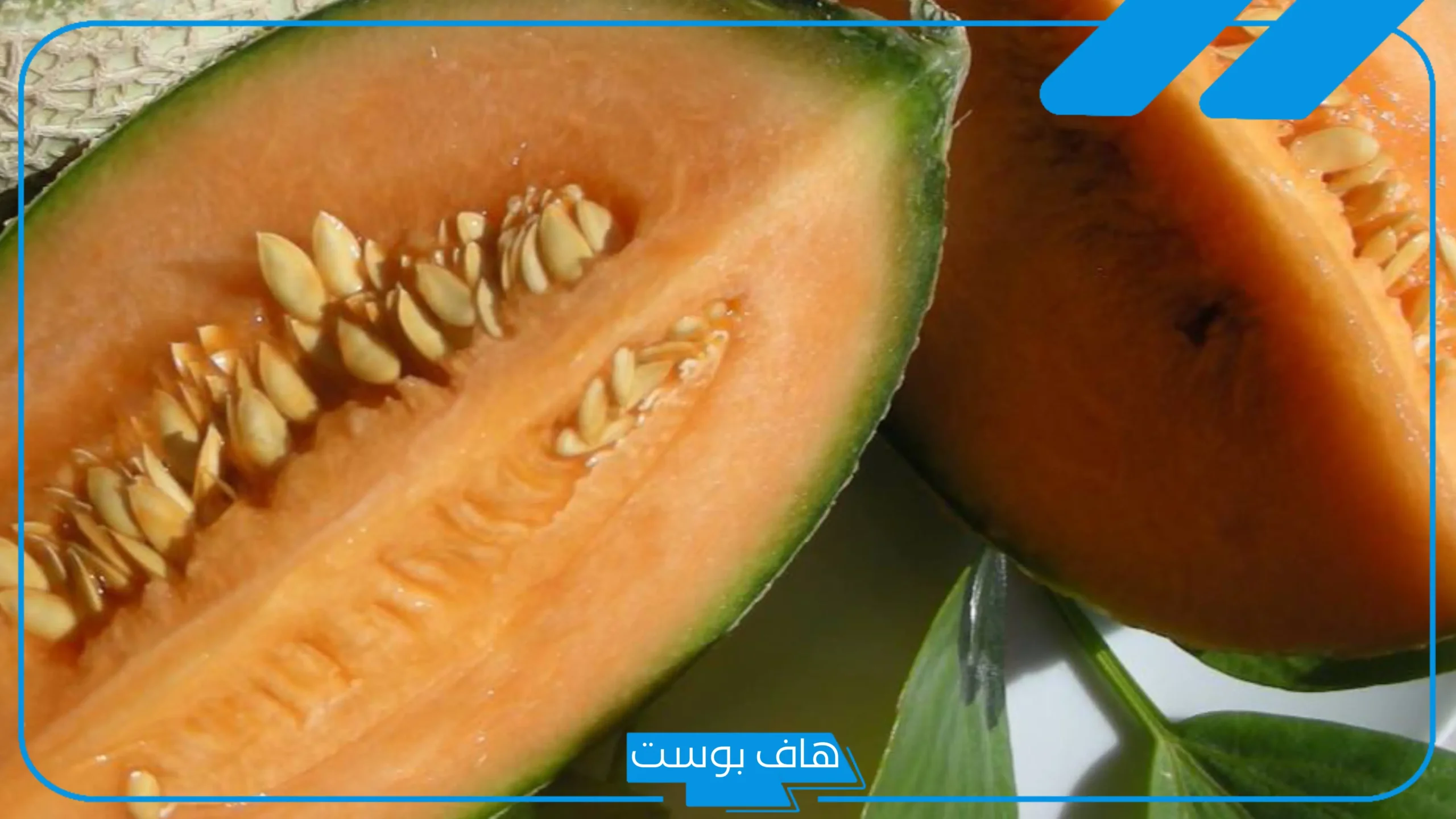 تفسير حلم أكل الشمام في المنام ورؤيته للحامل والمتزوجة لابن سيرين