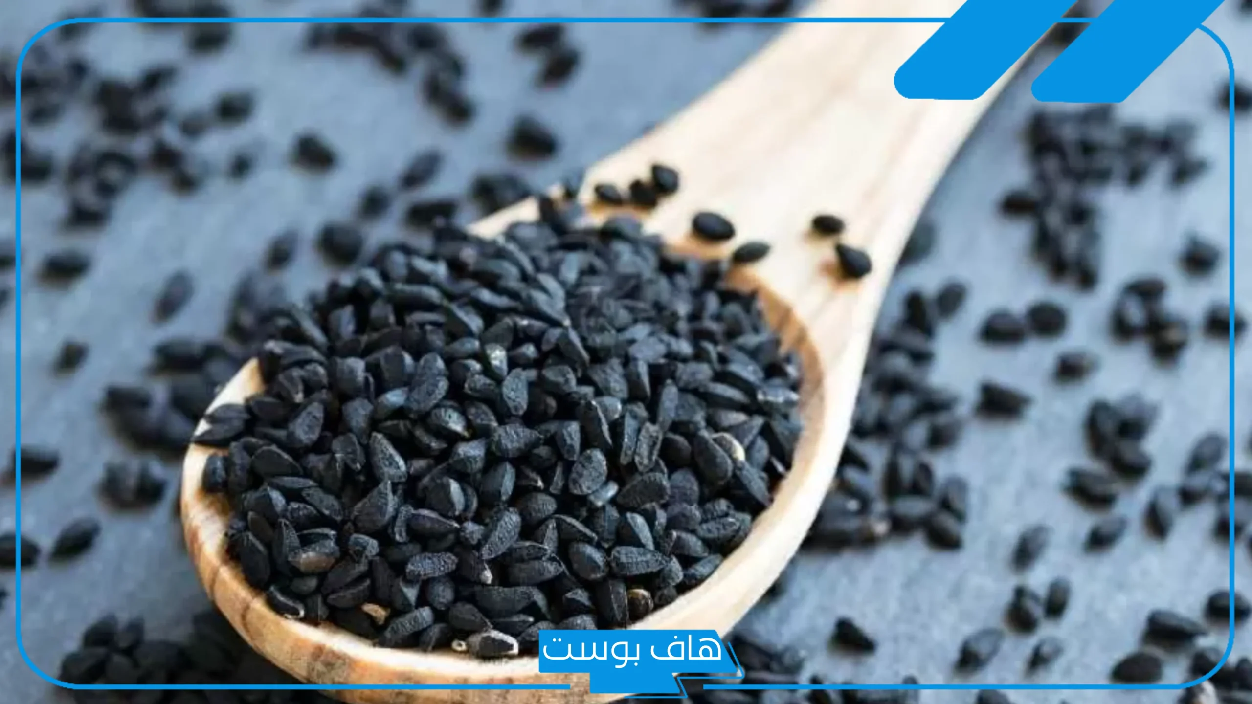 تجربتي مع الحبة السوداء على الريق يوميًا وفوائدها في الطب النبوي