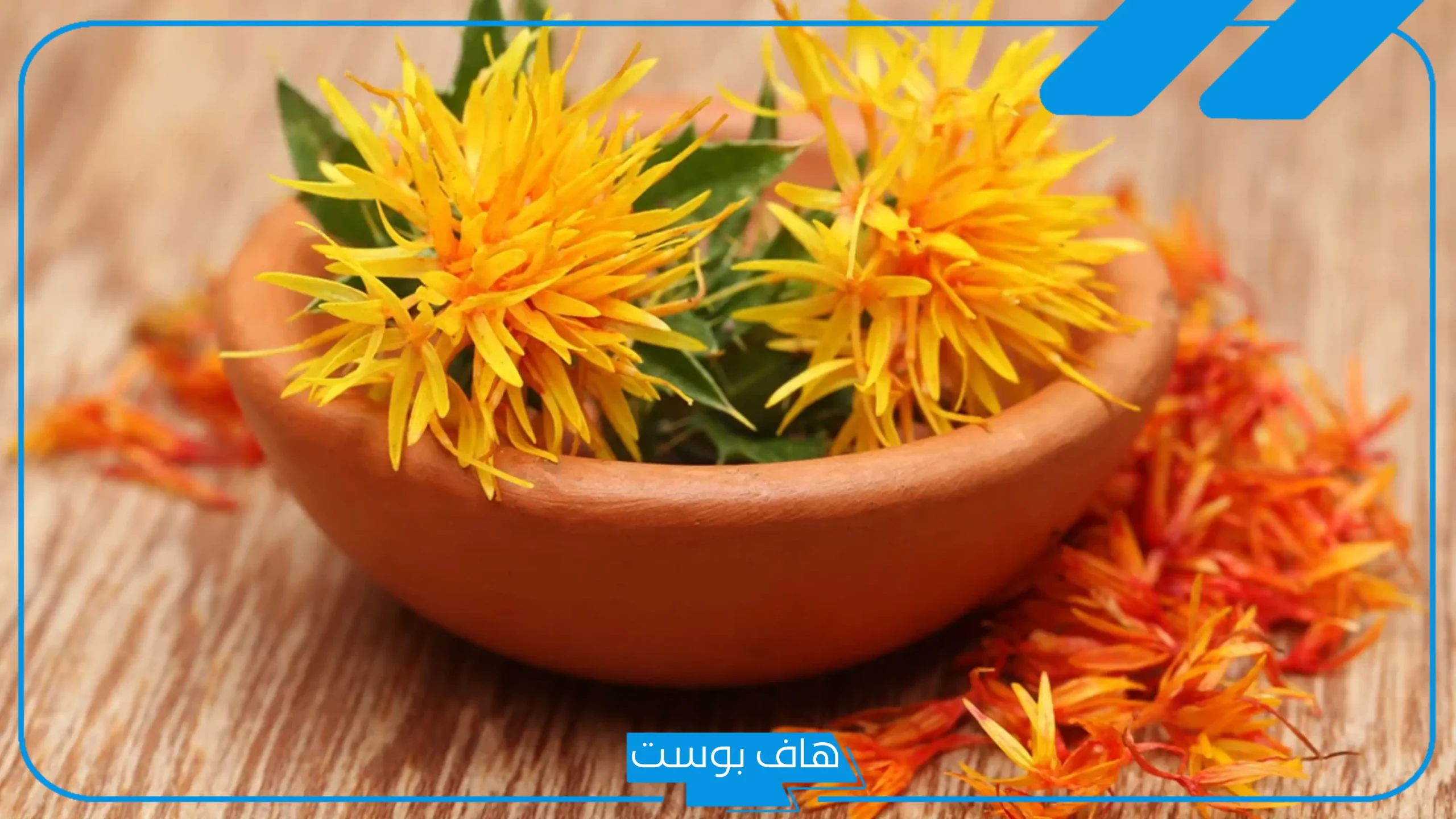 تجربتي مع العصفر للخوف والهلع والقلق والوسواس القهري