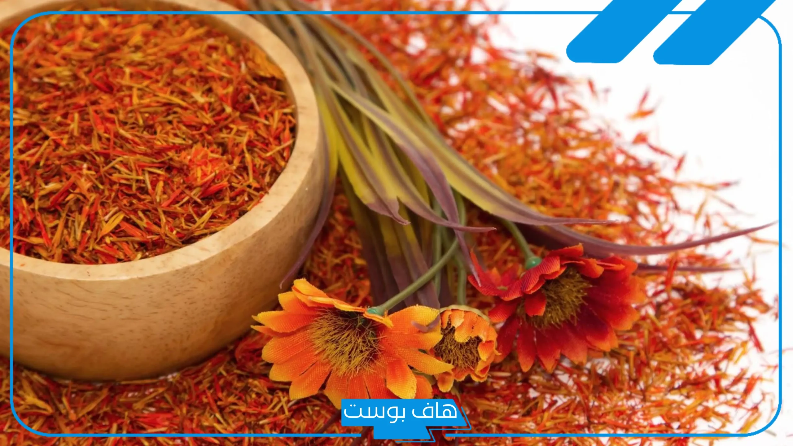 تجربتي مع العصفر للخوف والهلع والقلق والوسواس القهري
