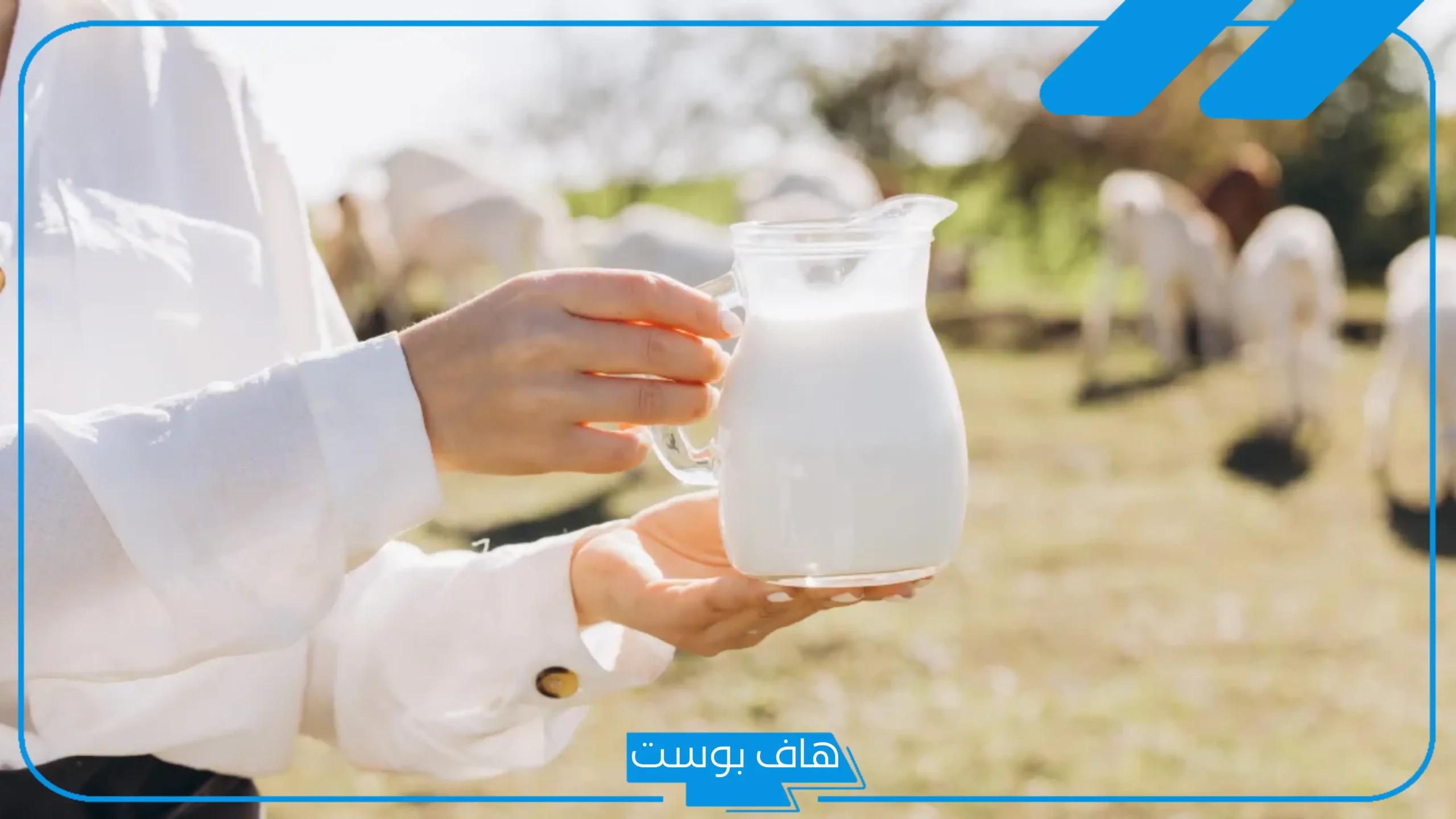 تجربتي مع حليب الابل وأهم الفوائد للدماغ والأطفال