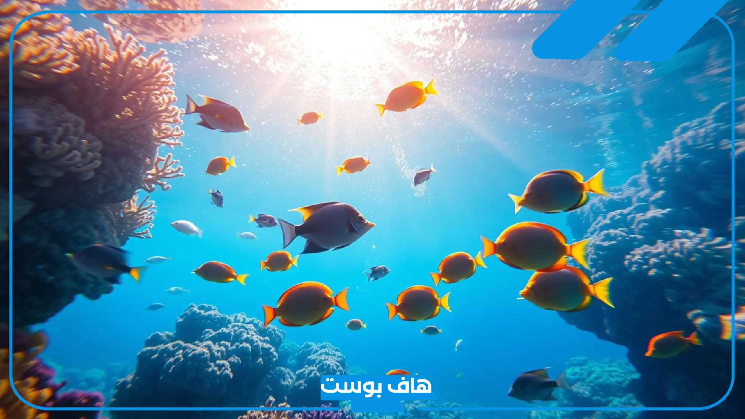 تفسير حلم السمك الحي والمشوي والمقلي لابن سيرين