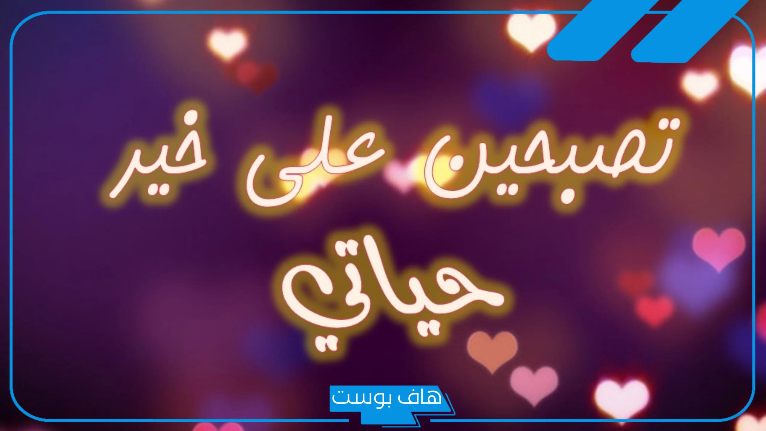 وش الرد على تصبح على خير، كيف أرد على عبارة تصبح على خير؟