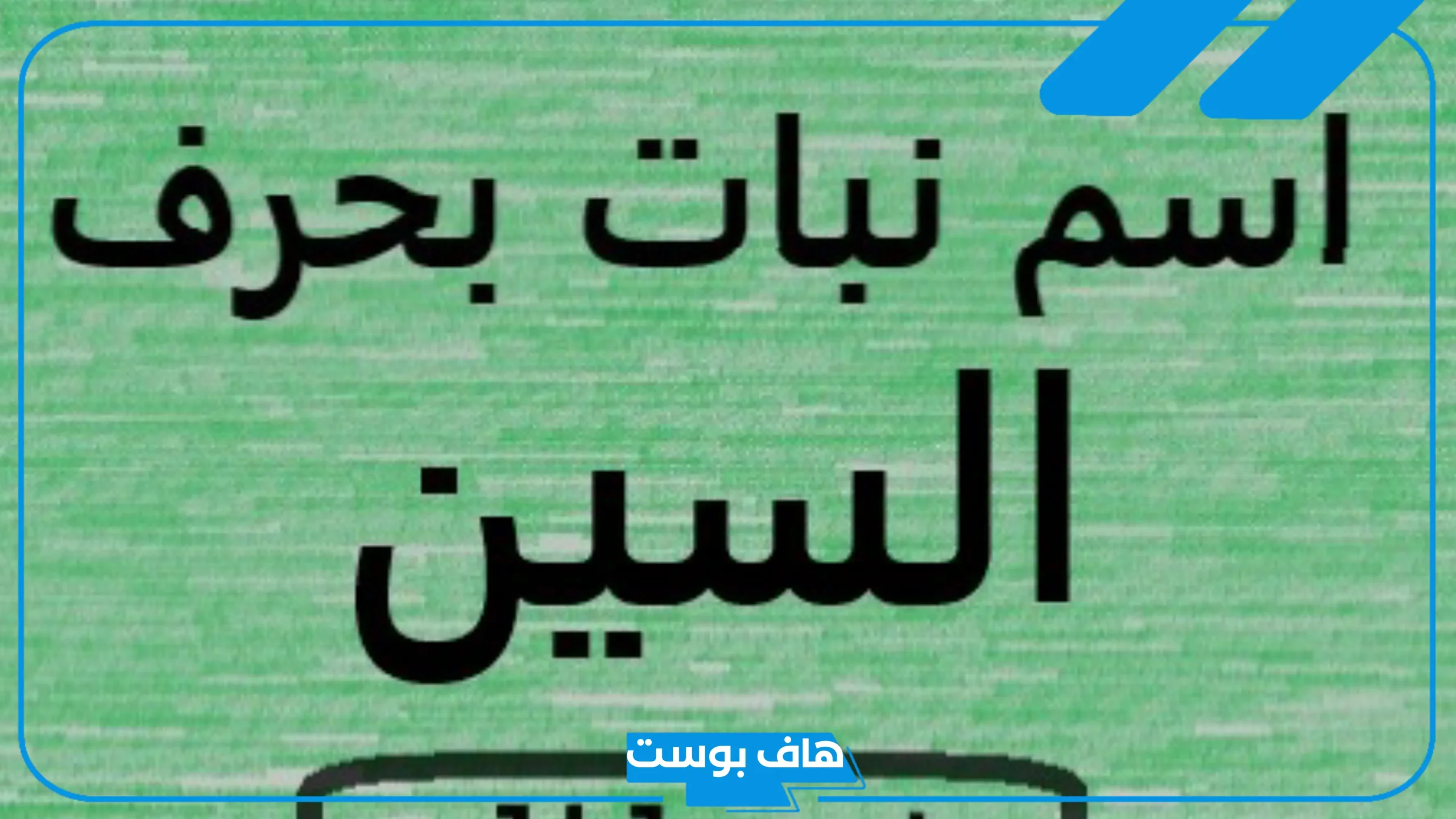 اسم نبات بحرف السين، نبات يبدأ بحرف س