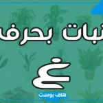اسم نبات بحرف الغين معروف، نباتات تبدأ بحرف غ