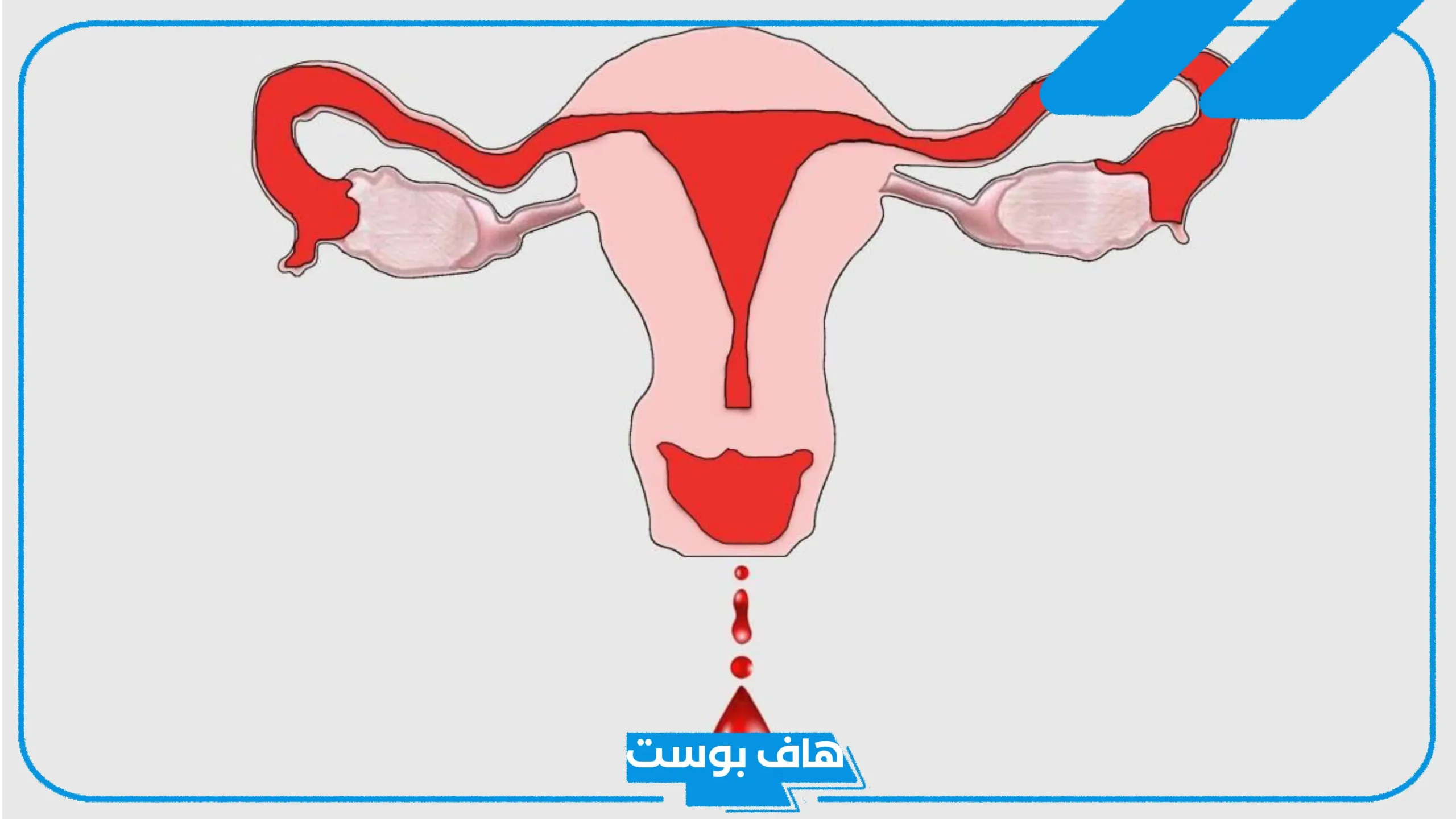 تفسير حلم الدورة الشهرية للعزباء والحامل والمتزوجة لابن سيرين