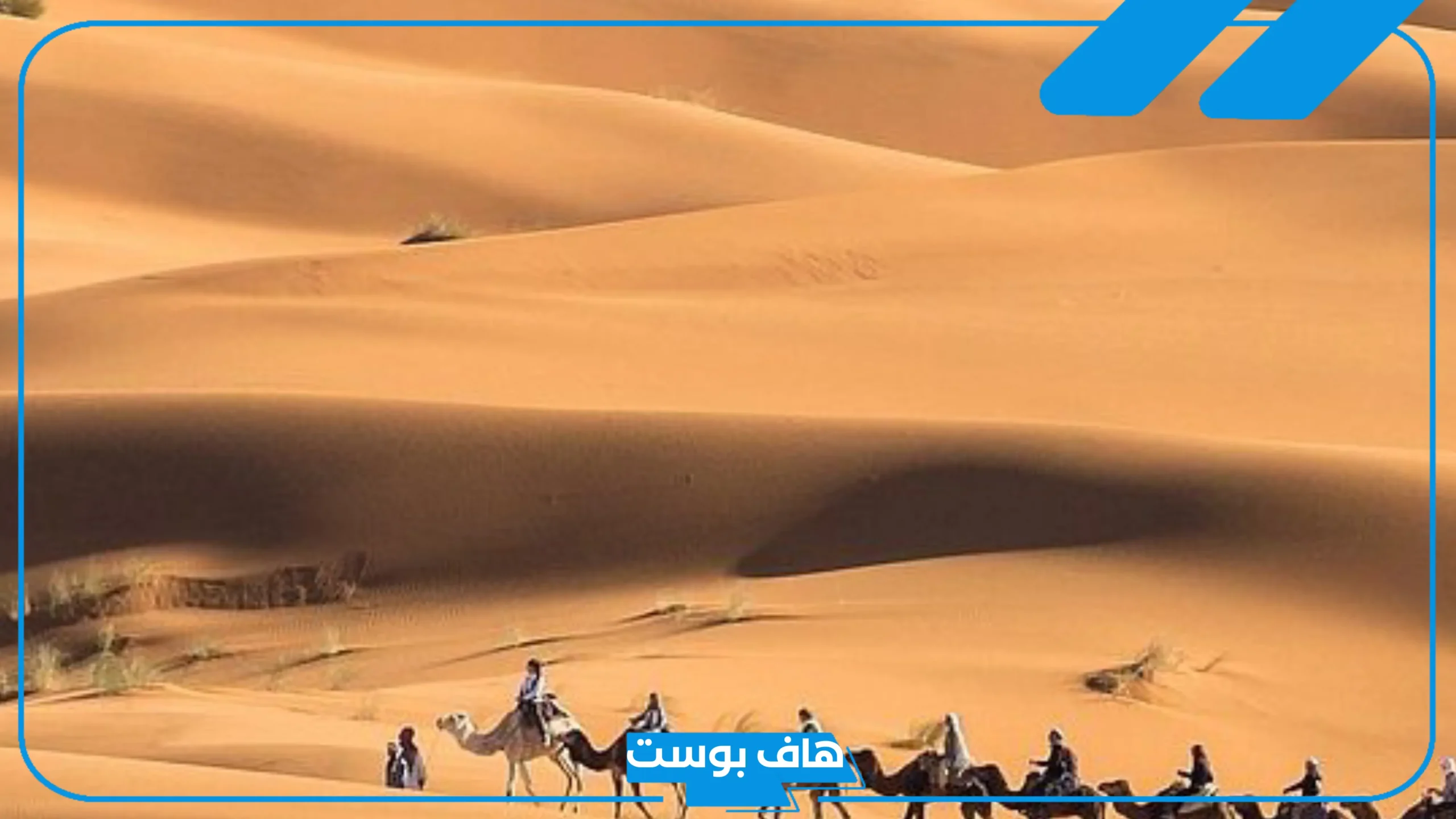 الاحمري وش يرجع أصله، شجرة قبيلة الأحمري
