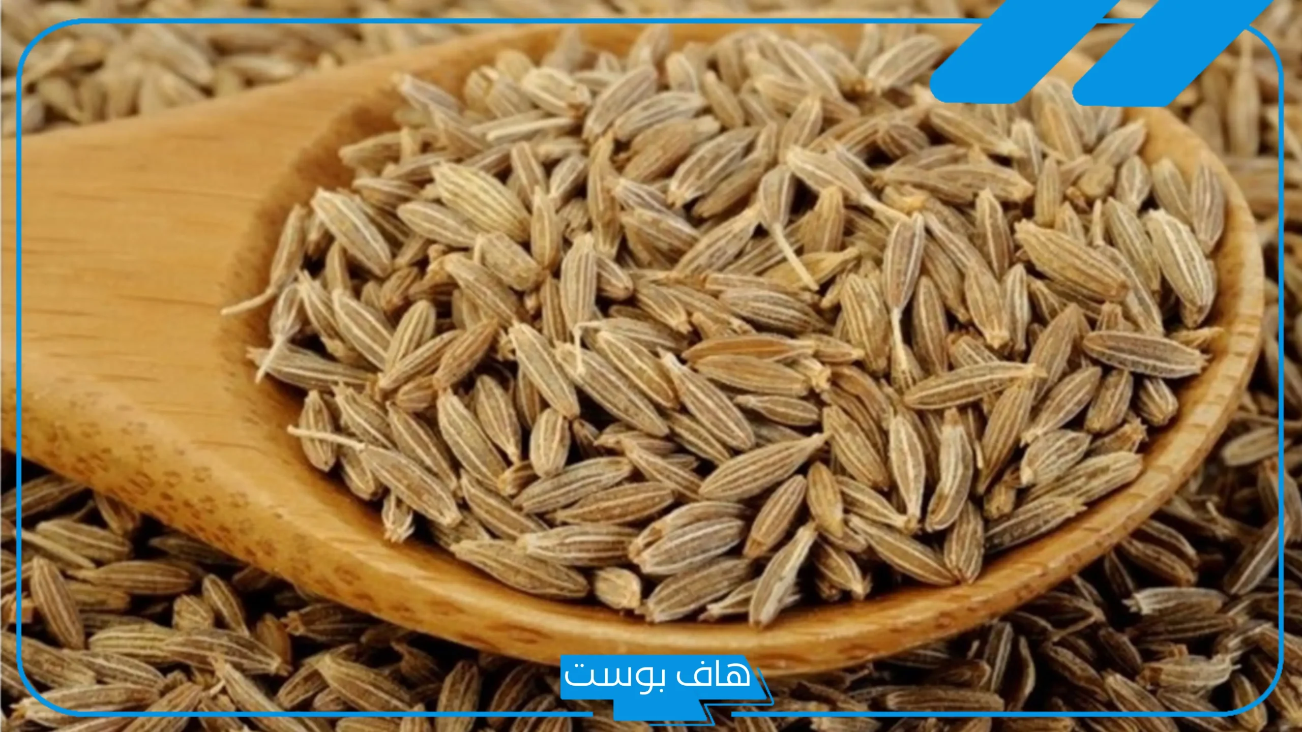تجربتي مع بذرة الخلة البلدي والنتيجة لعلاج حصوات الكلى