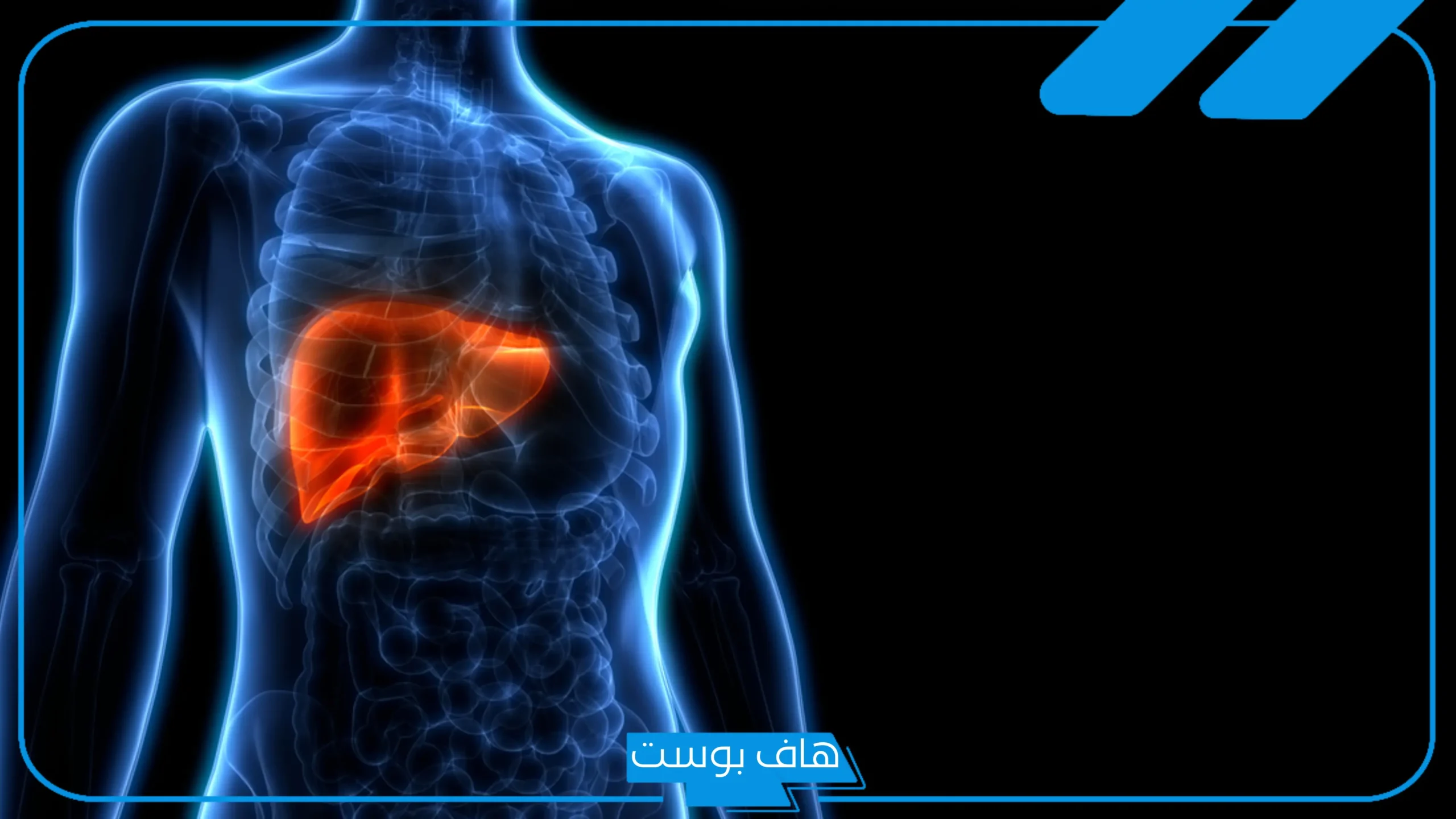تجربتي مع تنظيف الكبد من السموم وطرق العلاج