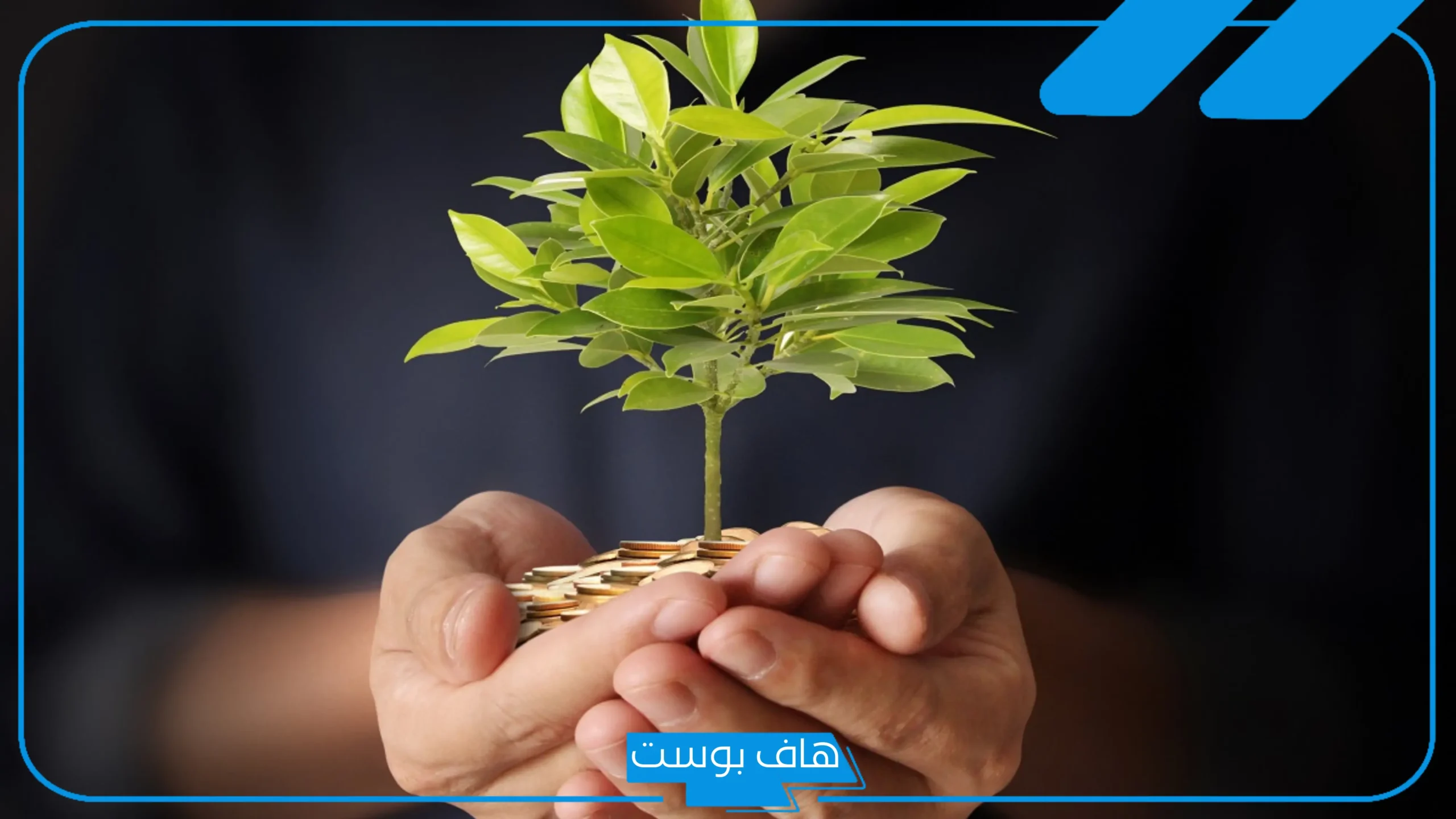 اذاعة مدرسية عن الصدقة وفضلها مكتوبة كاملة