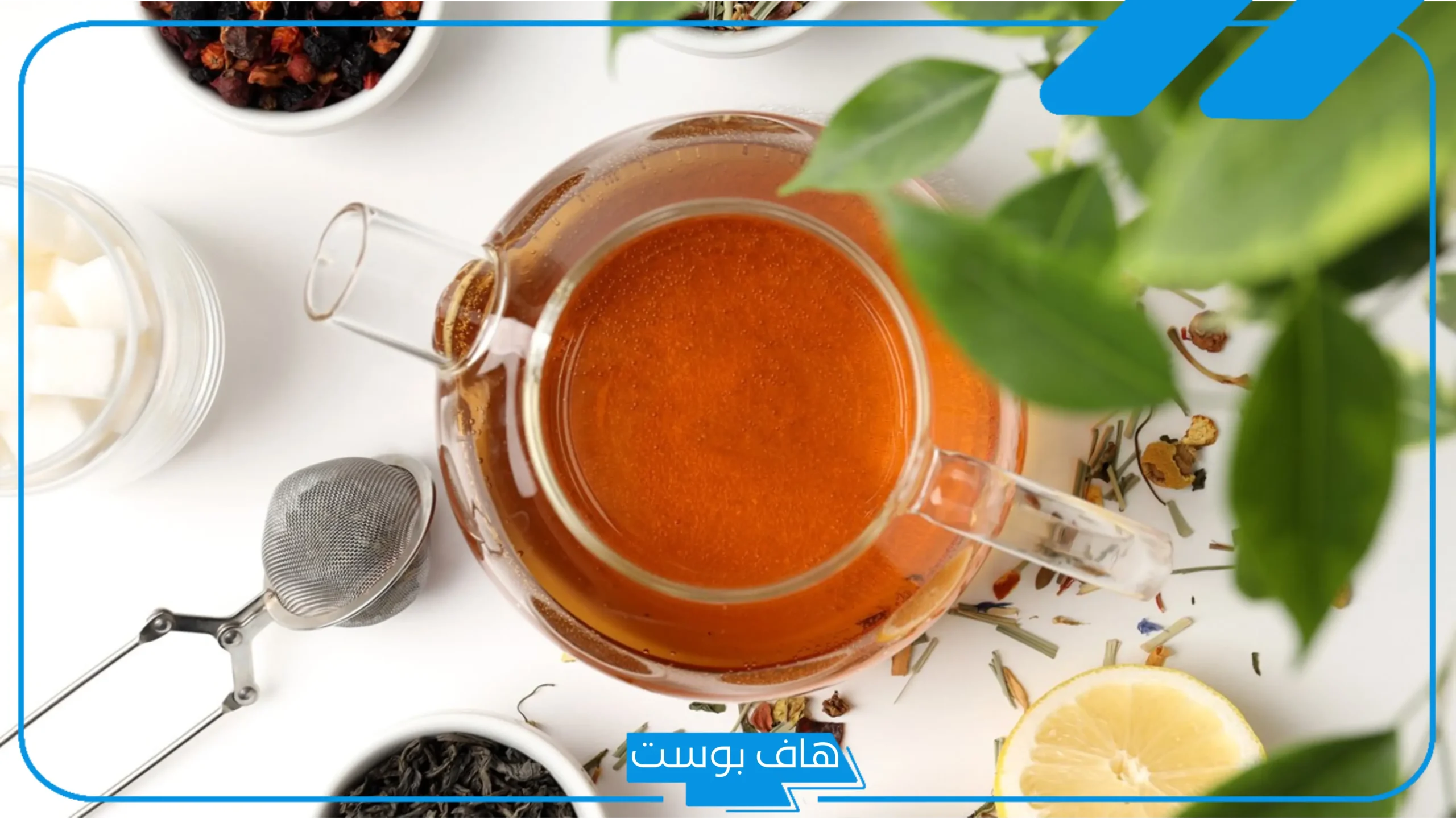 تجربتي مع الارطا للقولون العصبي بالفوائد والنتيجة