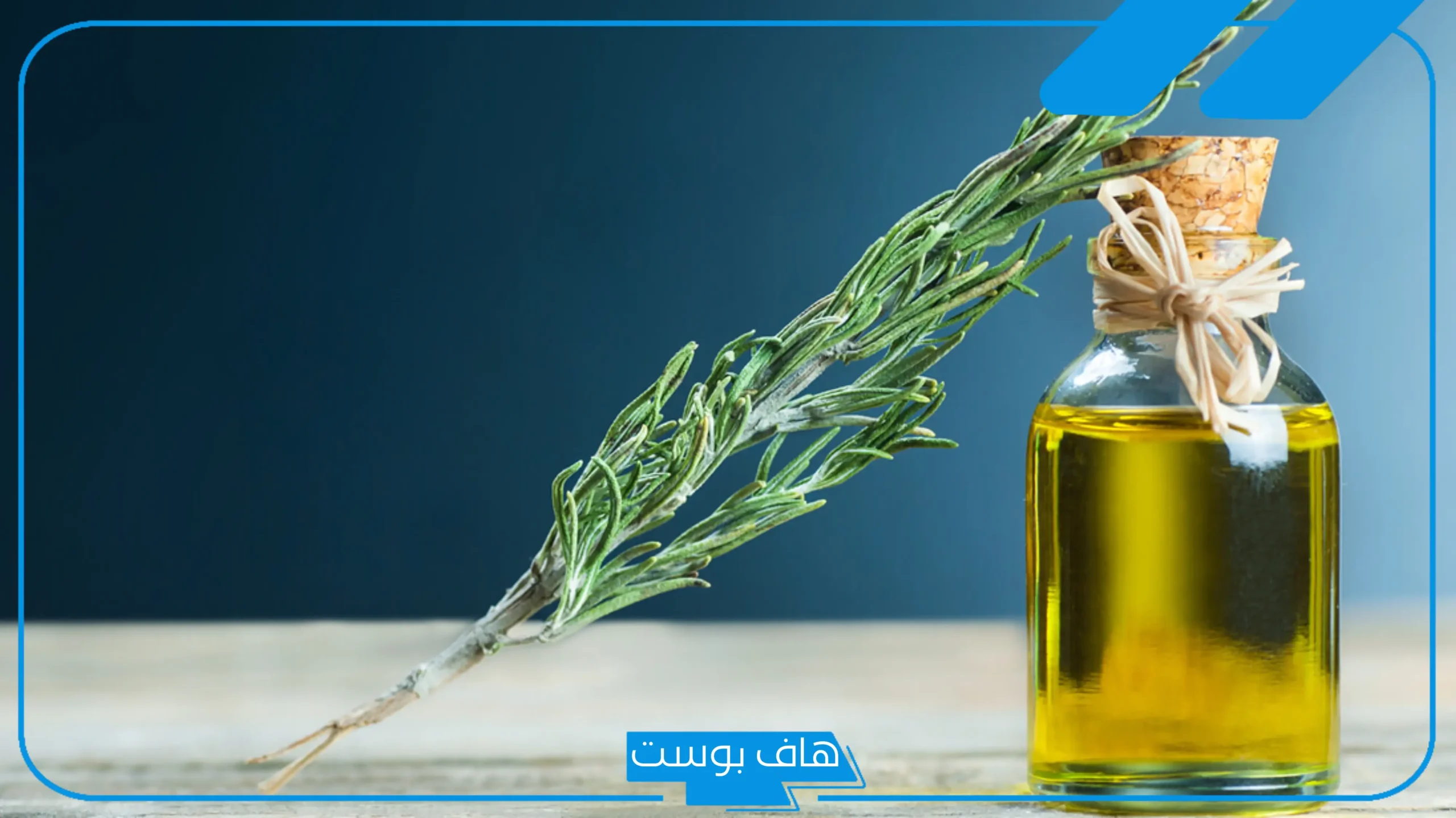 تجربتي مع زيت اكليل الجبل للشعر بالفوائد والنتيجة
