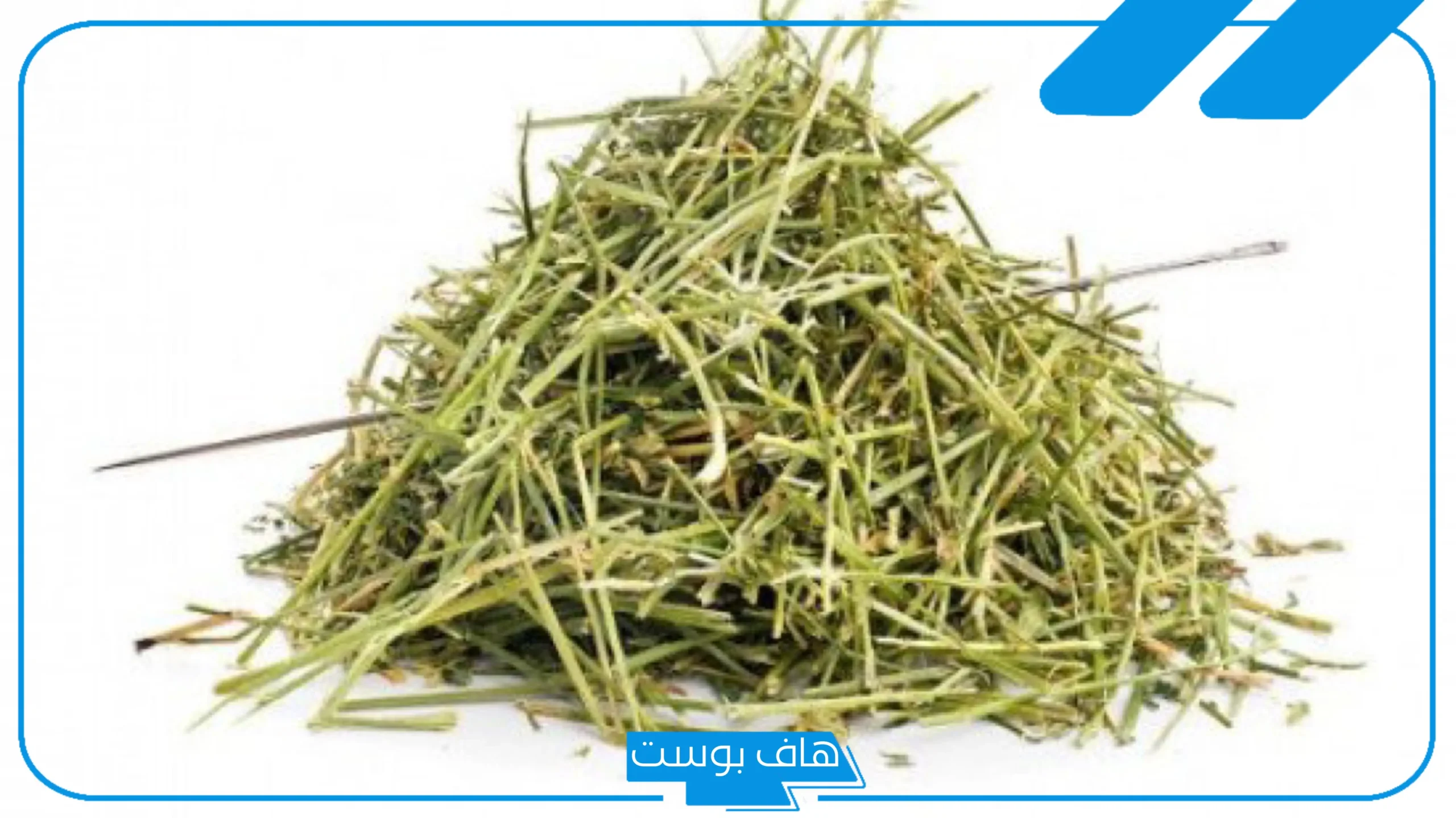 تجربتي مع عشبة المدينة لتنظيف الرحم وطريقة الاستعمال
