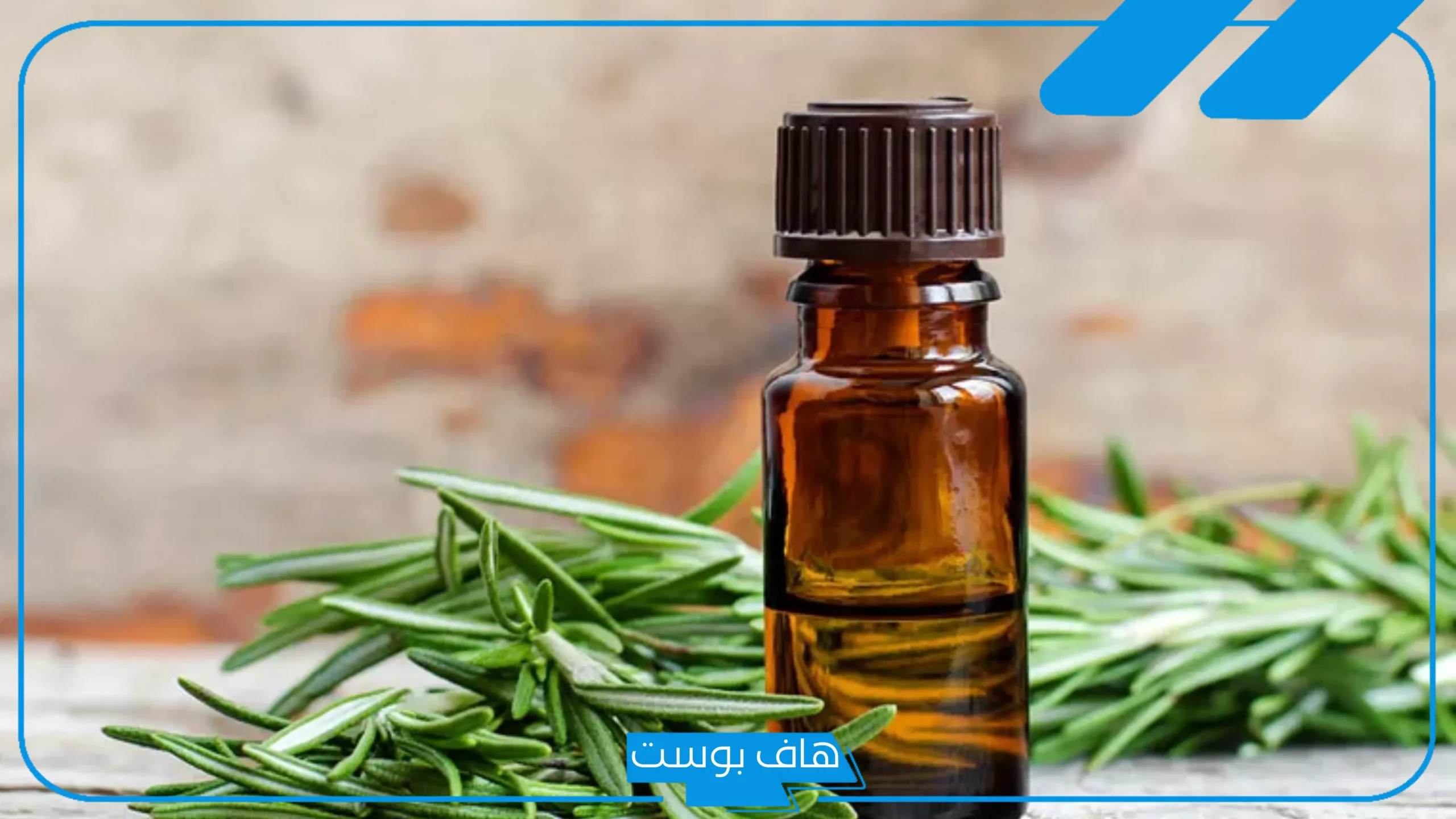 تجربتي مع زيت اكليل الجبل للشعر لتنعيمه وتكثيفه، كيفية استخدام زيت إكليل الجبل للشعر