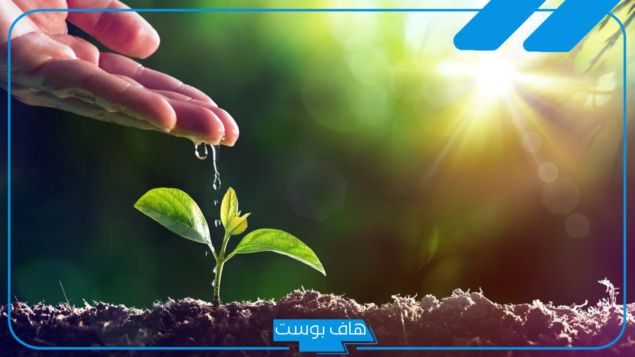 اذاعة مدرسية عن الصدقة وفضلها مكتوبة كاملة