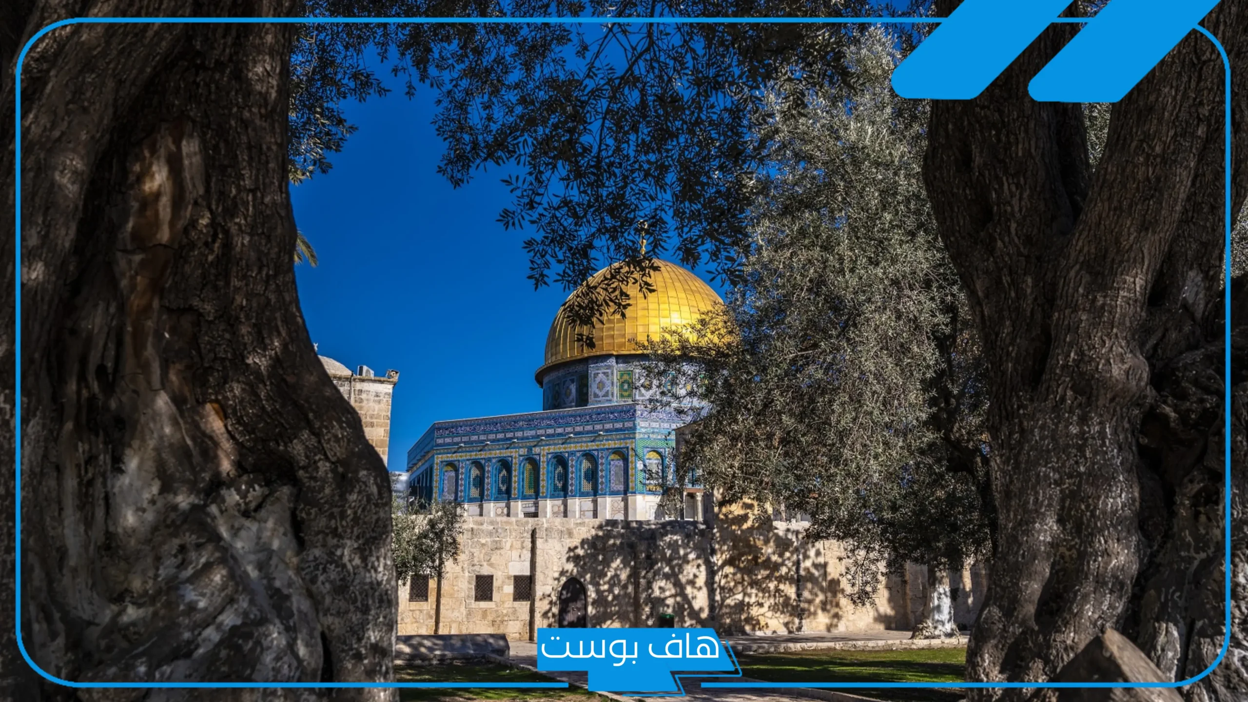 مقدمة اذاعة مدرسية عن فلسطين مؤثرة ومُعبرة كاملة