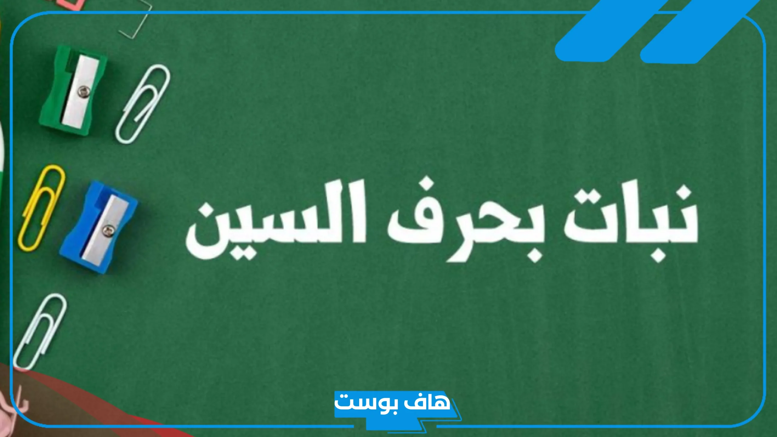 اسم نبات بحرف السين، نبات يبدأ بحرف س