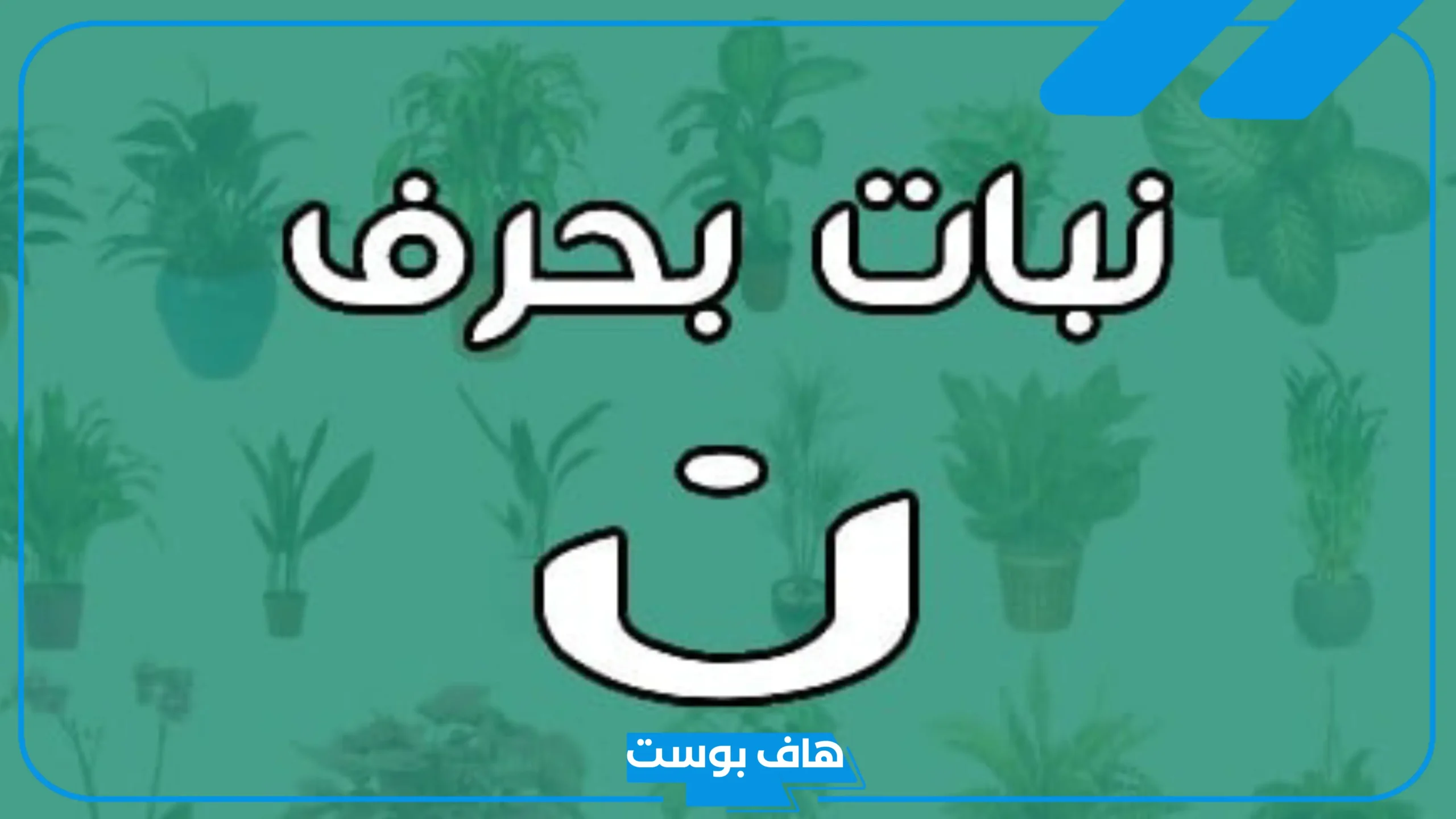 اسم نبات بحرف ن مشهور، نباتات معروفة بحرف النون من 3 حروف