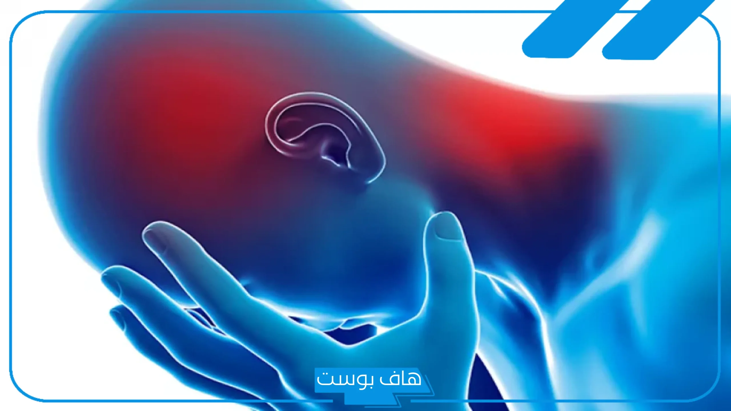 تجربتي مع الصداع التوتري والقلق النفسي بالأسباب والأعراض وطرق العلاج