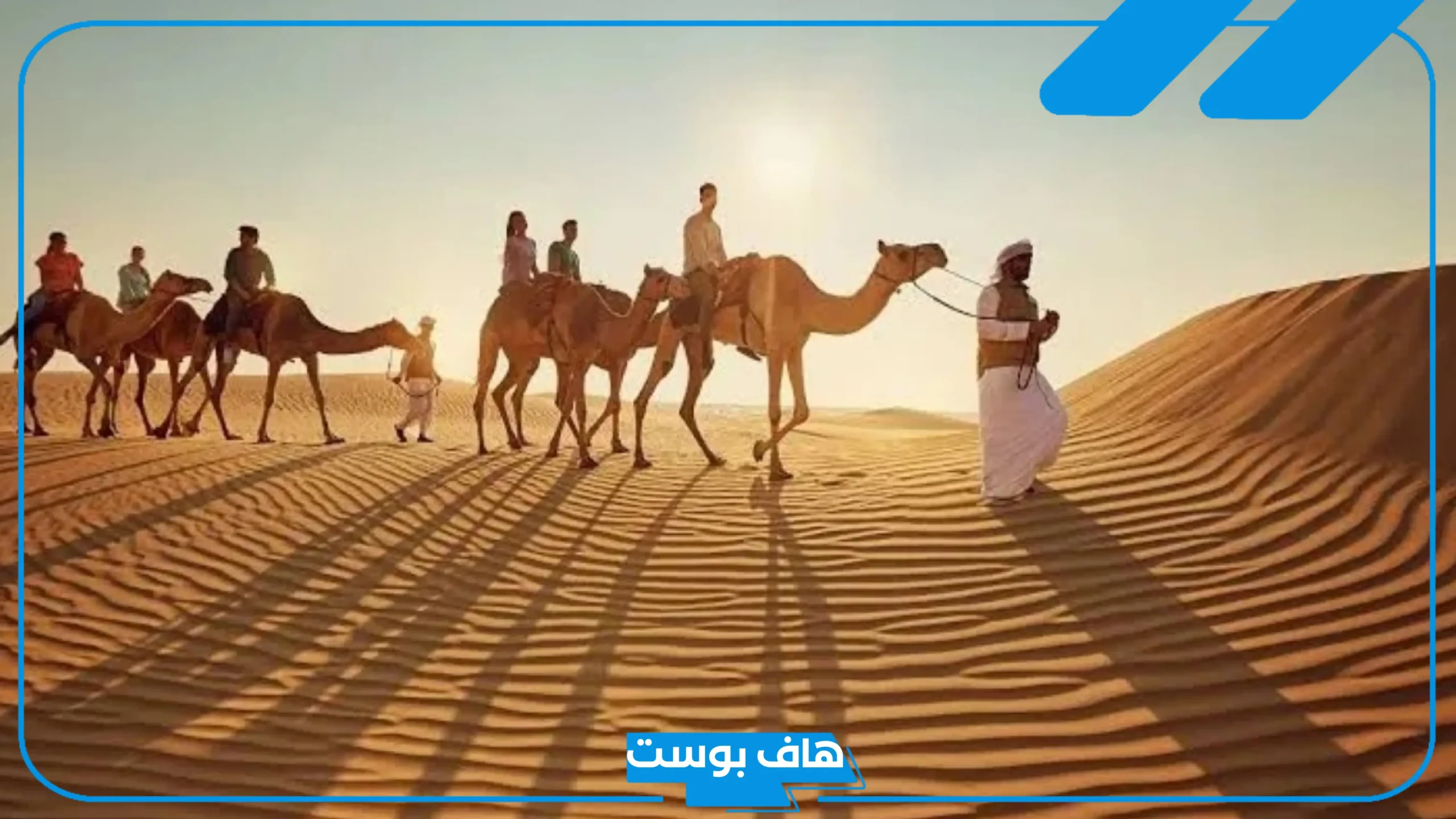 الاشراف وش يرجعون الأصل، أقسام قبائل الأشراف وشجرة العائلة
