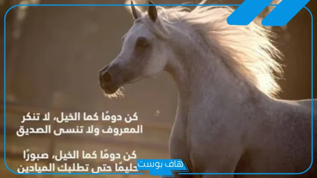 أجمل عبارات عن الخيل وحب الخيول قصيرة تويتر مميزة 2025