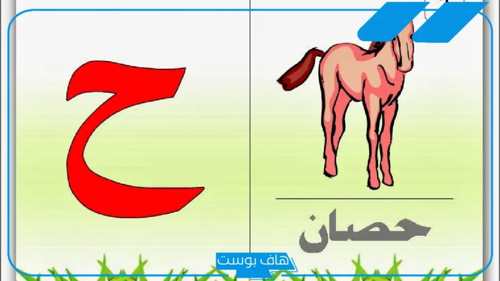 أسماء حيوان بحرف ح، اسم حيوان يبدأ بحرف حاء من ثلاث حروف