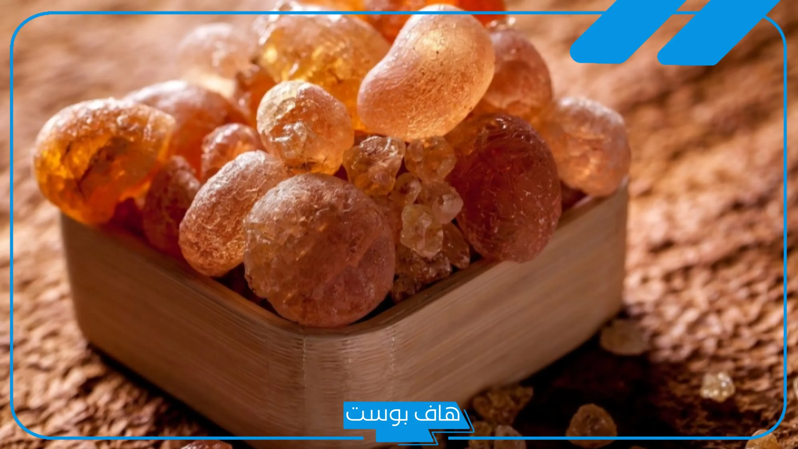 تجربتي مع الصمغ العربي للكلى، أفضل أنواع الصمغ العربي بالفوائد
