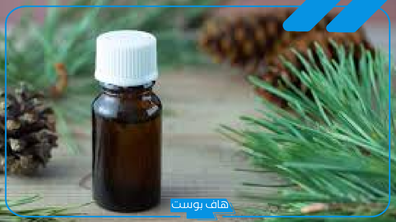 تجربتي مع زيت القطران للشعر لتكثيفه وتنعيمه، تجربتي مع زيت القطران للشيب