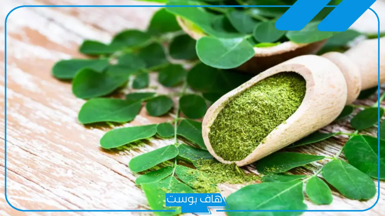 تجربتي مع المورينجا للشعر.. فوائد المورينجا للشعر الأبيض