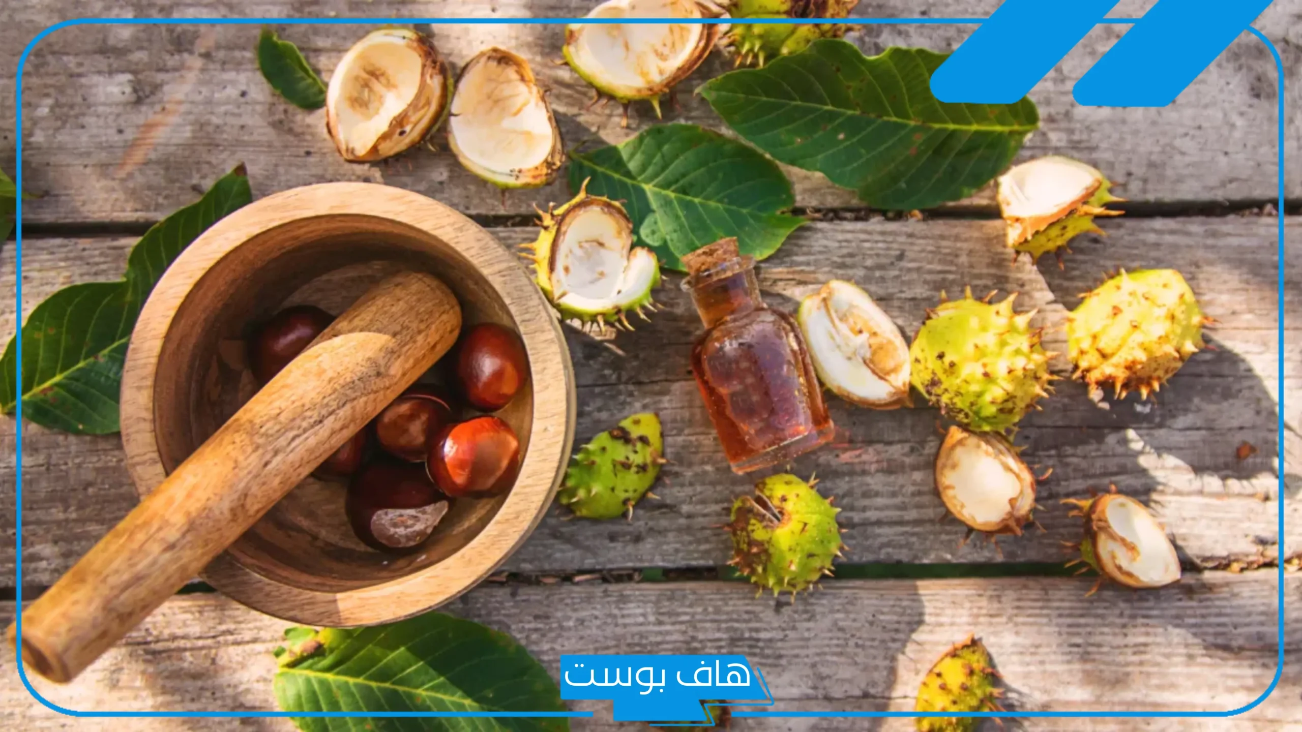 تجربتي مع حبة الملوك.. طريقة استخدام حبة الملوك لتنظيف البطن