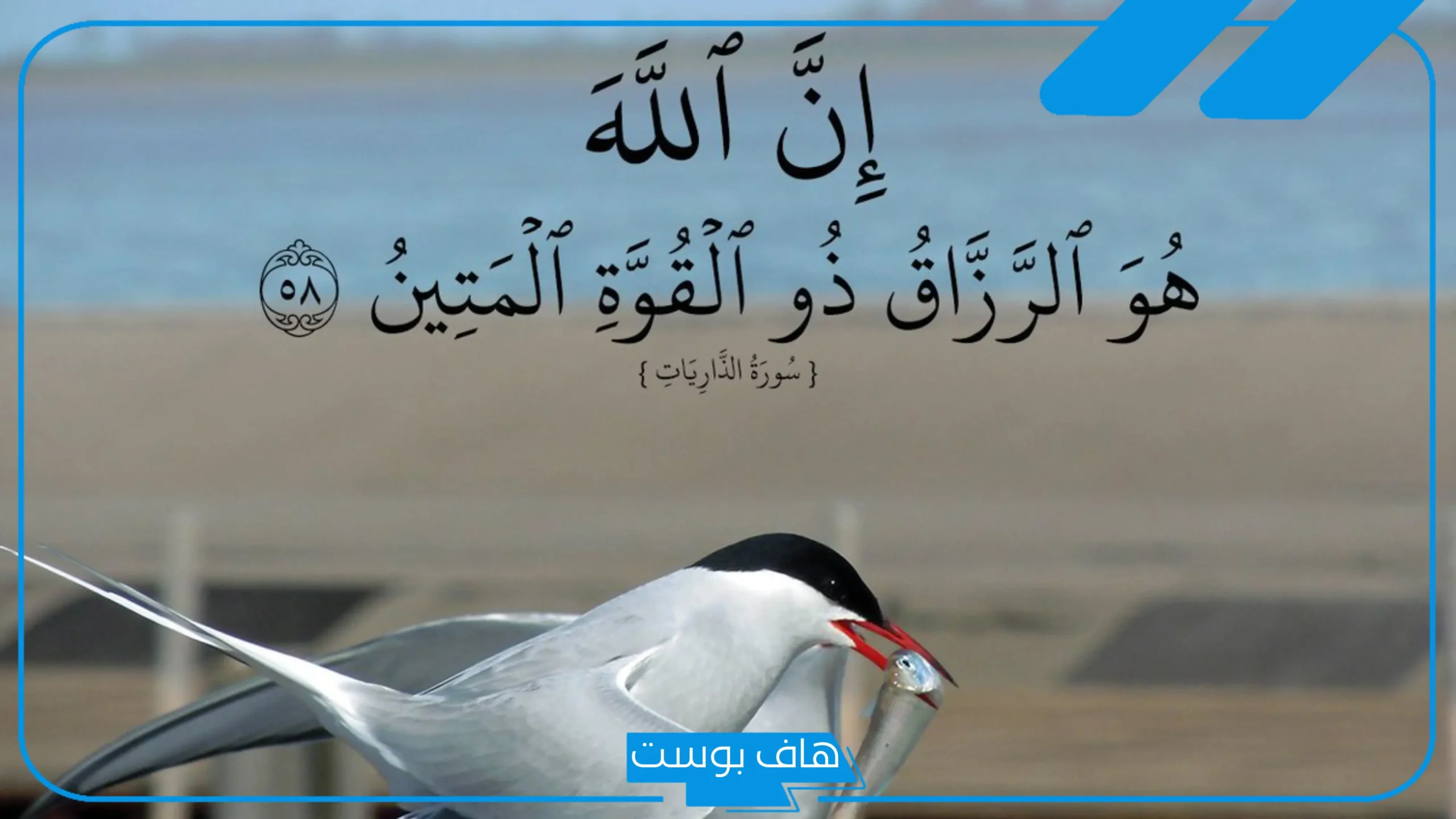 تجربتي مع إن الله هو الرزاق ذو القوة المتين.. من قال “إن الله هو الرزاق ذو القوة المتين” 100 مرة؟