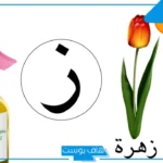 اشياء بحرف الزاء معروفة للأطفال مشهورة من خمس حروف