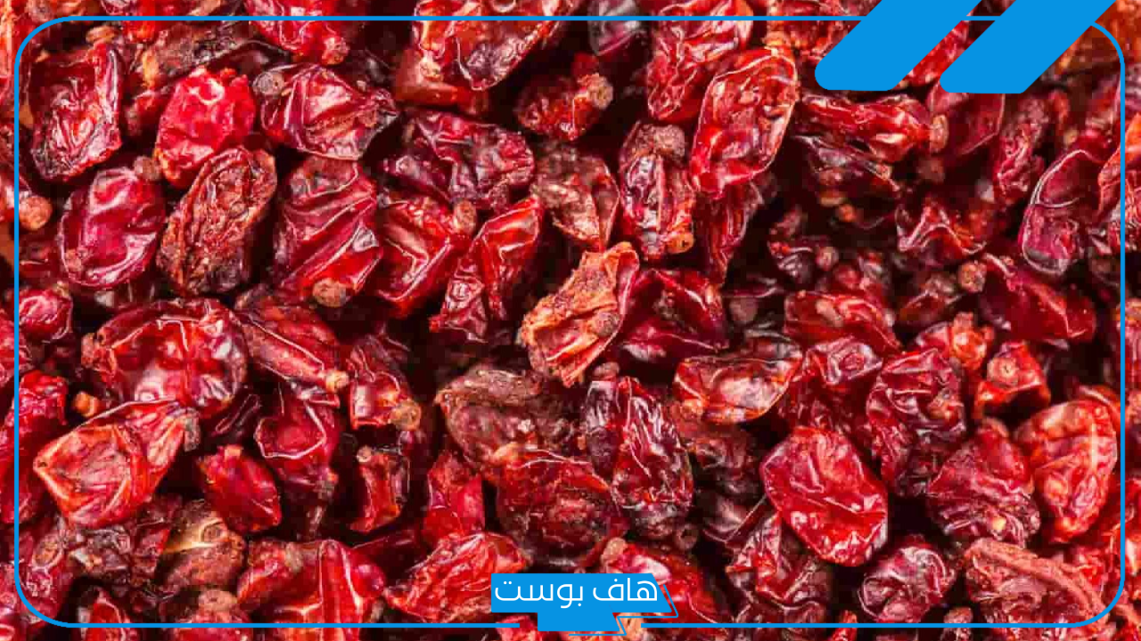تجربتي مع البربرين بفوائده كاملة.. طريقة استخدام حبوب البربرين