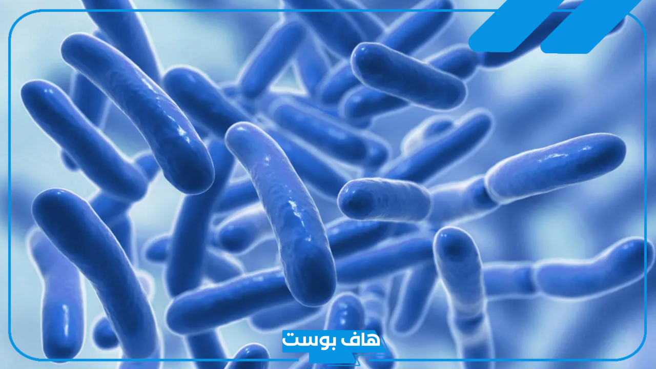 تجربتي مع البكتيريا النافعة والأعراض الجانبية والنفسية