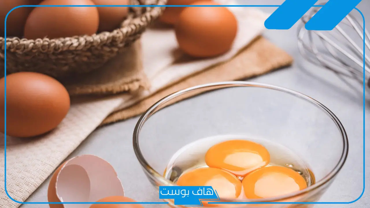 تفسير حلم البيض الكثير في المنام ورمزه لابن سيرين والنابلسي