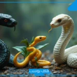 تفسير حلم رؤية الثعابين في المنام للمتزوجة والعزباء لابن سيرين