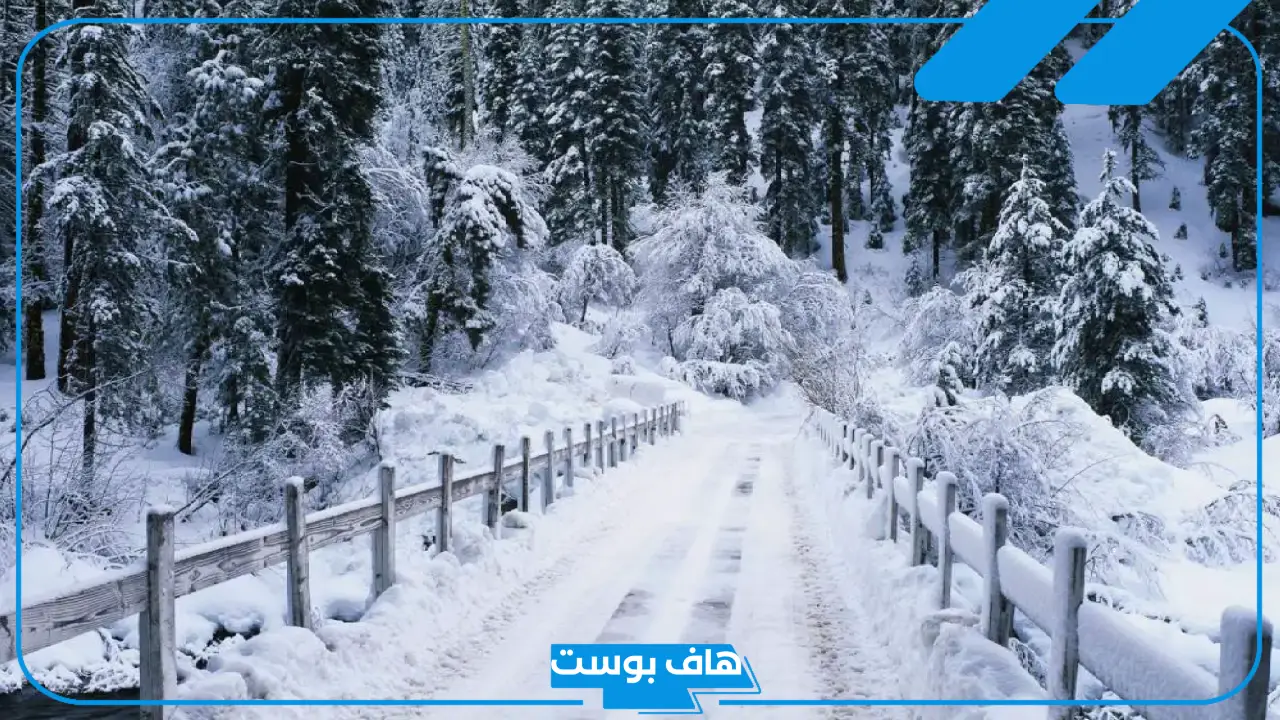 تفسير حلم رؤية الثلج في المنام وتساقطه للمرأة ورمزه لابن سيرين