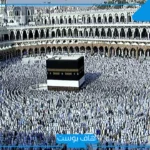 رمز العمرة في المنام لابن سيرين.. تفسير حلم العمرة لكبار المفسرين