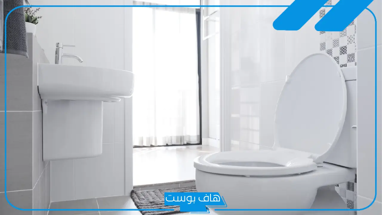تفسير حلم دخول الحمام في المنام للعزباء والمتزوجة لابن سيرين