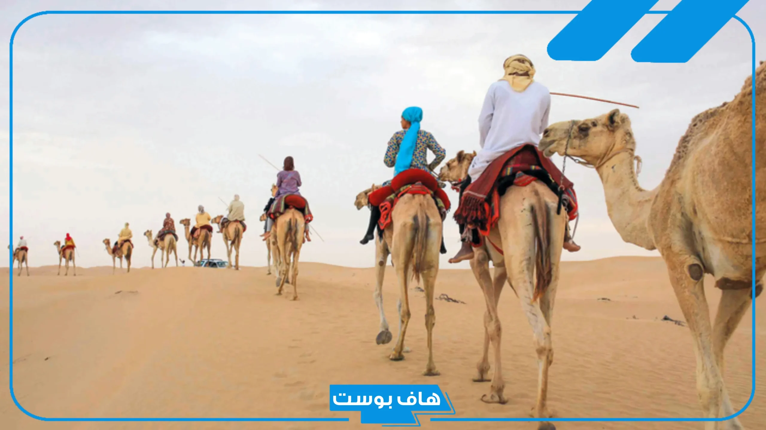 الخضيري وش يرجعون النسب، أصل الخضيري والفروع وأشهر الشخصيات