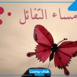 أجمل رد على مساء الخير، إذا أحد قالي يسعد مساك وش أرد؟