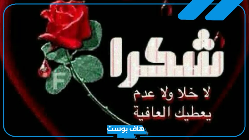 وش يكون الرد على لا خلا ولا عدم.. اذا احد قالي لا خلا ولا عدم وش أرد؟