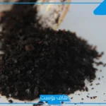 تجربتي مع السعوط.. فوائد السعوط للكبار ومكوناته