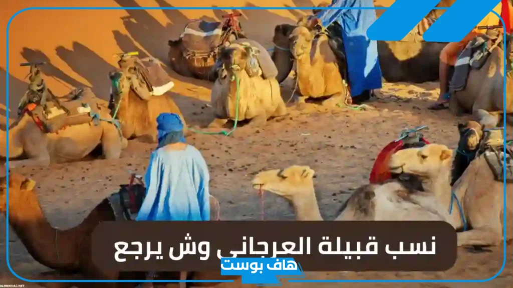 العرجاني وش يرجع الأصل، نسب قبيلة العرجاني وشجرة عائلة العرجاني